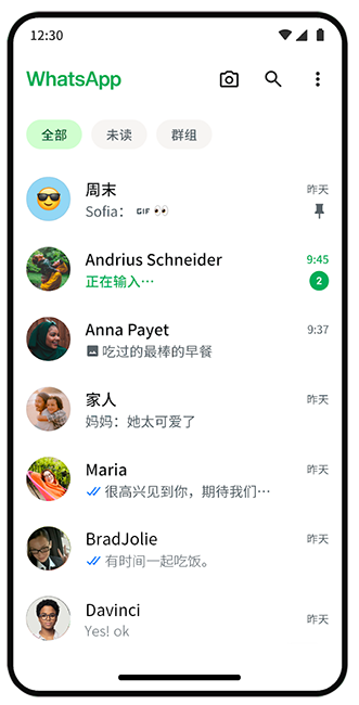 WhatsApp 应用截图 2
